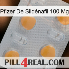 Pfizer De Sildénafil 100 Mg 24